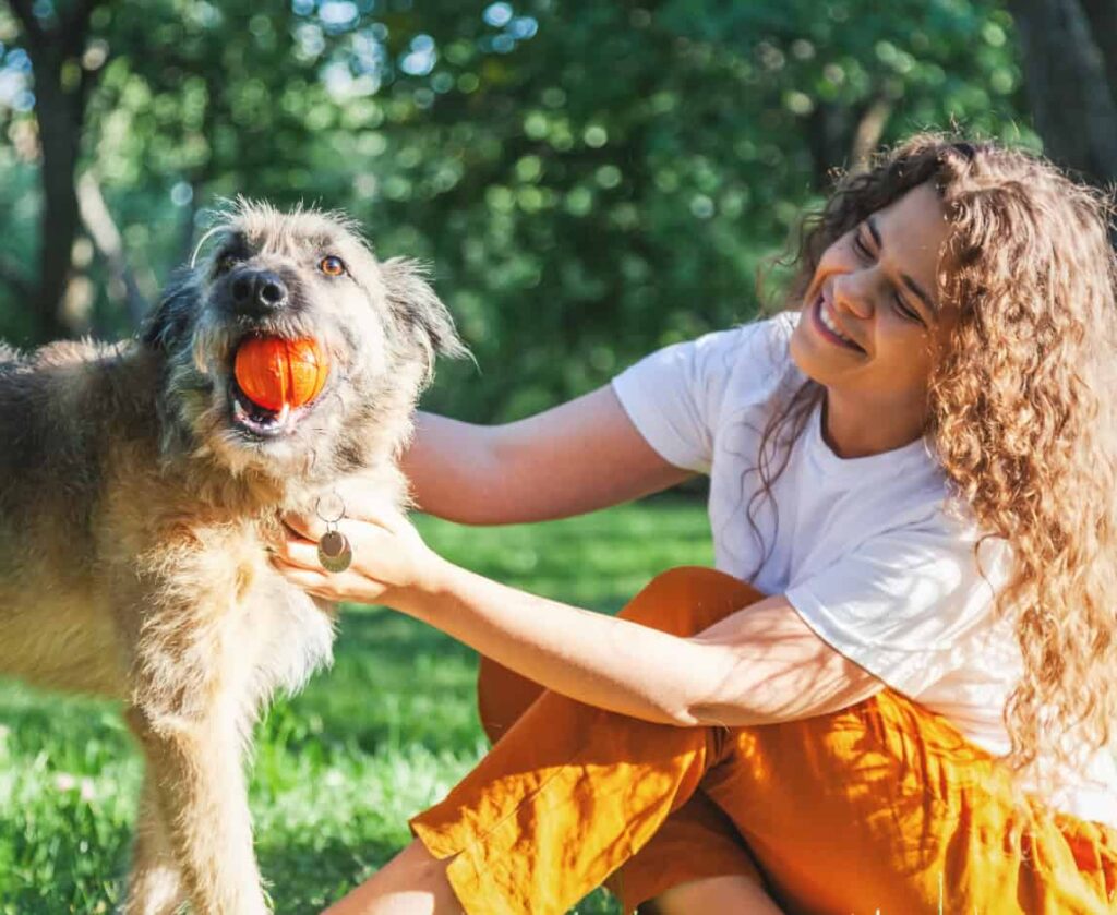 Summer Pet Care