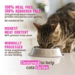 RAWZ_WebsiteCarousel_Cat_Kibble_Chicken&Whitefish_LIFESTYLE