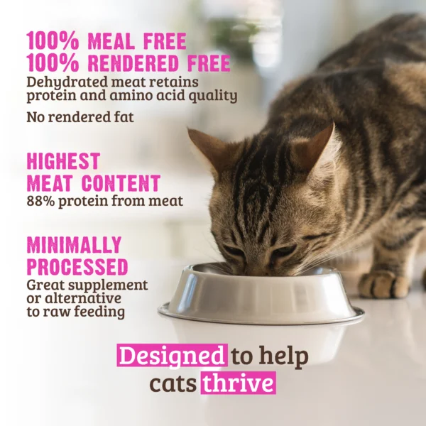 RAWZ_WebsiteCarousel_Cat_Kibble_Chicken&Whitefish_LIFESTYLE