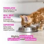RAWZ_WebsiteCarousel_Cat_Kitten_Salmon&Tuna_LIFESTYLE