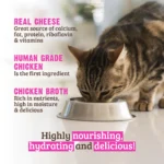 RAWZ_WebsiteCarousel_Cat_ShreddedPouches_Chicken&Cheese_LIFESTYLE