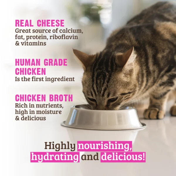 RAWZ_WebsiteCarousel_Cat_ShreddedPouches_Chicken&Cheese_LIFESTYLE