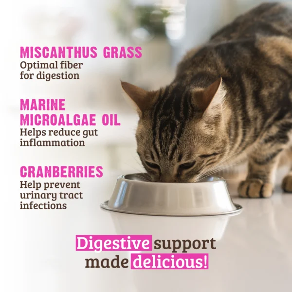 RAWZ_WebsiteCarousel_Cat_Solutions_Rabbit&Cranberry_LIFESTYLE