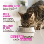 RAWZ_WebsiteCarousel_Cat_Solutions_Salmon,Tuna&Mussels_LIFESTYLE
