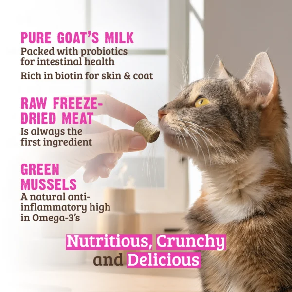 RAWZ_WebsiteCarousel_Cat_Treats_Rabbit_LIFESTYLE