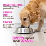 RAWZ_WebsiteCarousel_Dog_Digestive_Beef&Pumpkin_LIFESTYLE