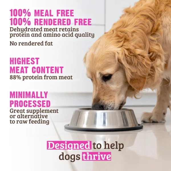 RAWZ_WebsiteCarousel_Dog_Kibble_Salmon&Chicken_LIFESTYLE