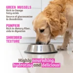 RAWZ_WebsiteCarousel_Dog_Shreds_Chicken&Pumpkin_LIFESTYLE