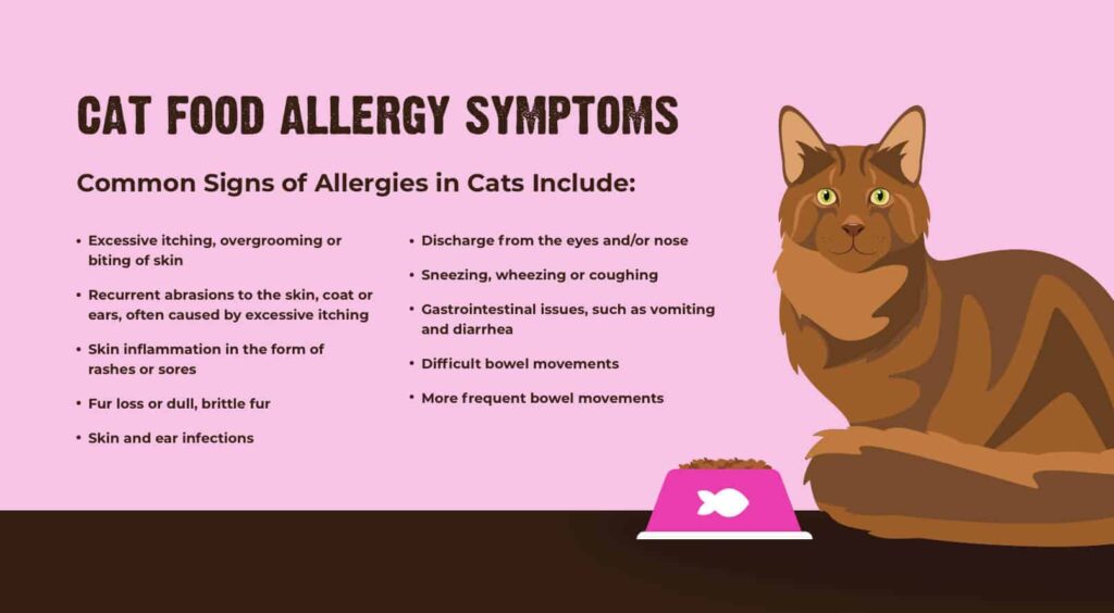 Beautiful view of Pet Food Allergies Caused By Grains