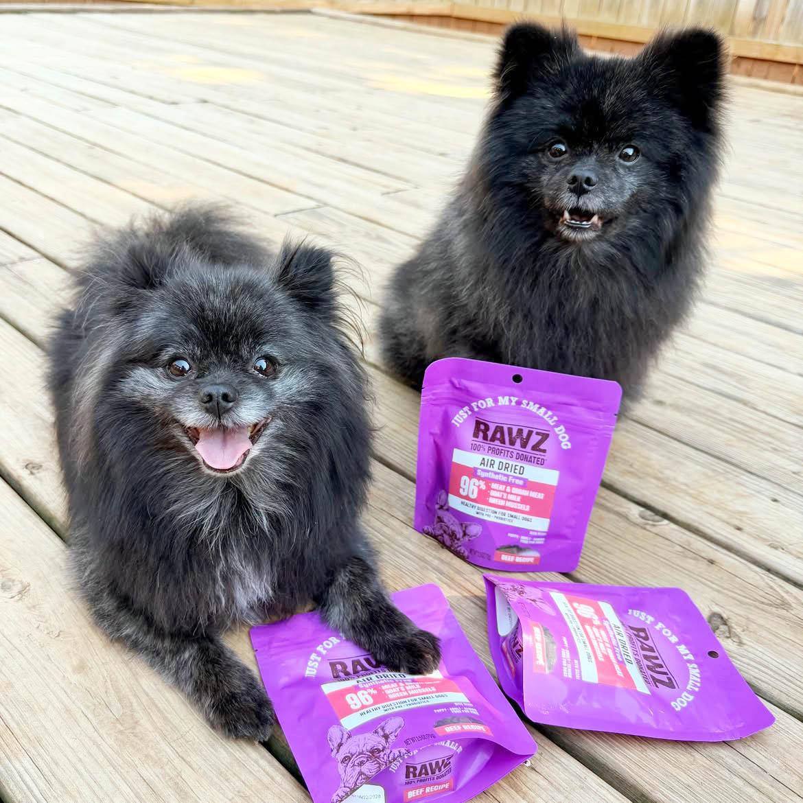 Double the fluff double the taste testers 🐾💜 so excited to try @rawznaturalpets pupfluencer