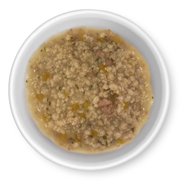 RAWZ_WebsiteCarousel_Cat_BowlImages_Gravy