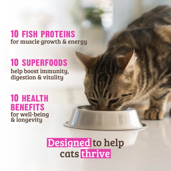 RAWZ_WebsiteCarousel_Cat_Essentials_Fish_LIFESTYLE