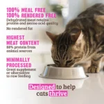 RAWZ_WebsiteCarousel_Cat_Kibble_Chicken&Turkey_LIFESTYLE