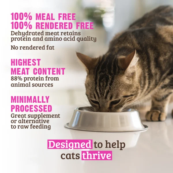 RAWZ_WebsiteCarousel_Cat_Kibble_Chicken&Turkey_LIFESTYLE