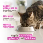 RAWZ_WebsiteCarousel_Cat_ReducedPhosphorus_Turkey_LIFESTYLE