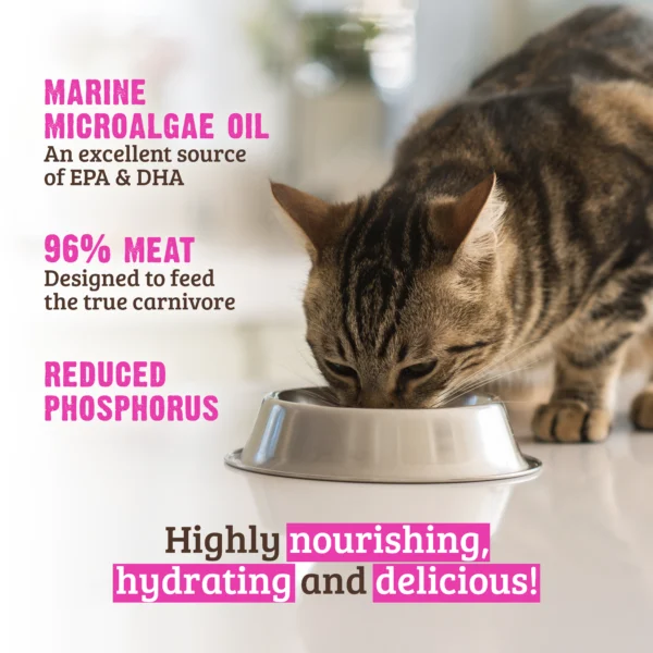 RAWZ_WebsiteCarousel_Cat_ReducedPhosphorus_Turkey_LIFESTYLE