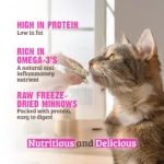 RAWZ_WebsiteCarousel_Cat_Treats_Minnows_LIFESTYLE