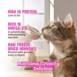 RAWZ_WebsiteCarousel_Cat_Treats_Minnows_LIFESTYLE