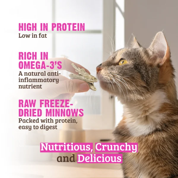 RAWZ_WebsiteCarousel_Cat_Treats_Minnows_LIFESTYLE