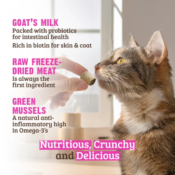 RAWZ_WebsiteCarousel_Cat_Treats_Rabbit_LIFESTYLE