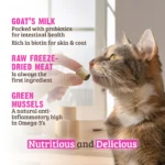 RAWZ_WebsiteCarousel_Cat_Treats_Salmon_LIFESTYLE