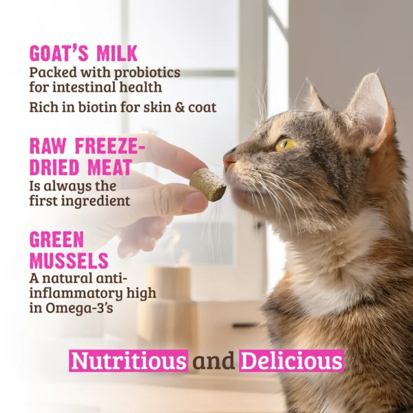 RAWZ_WebsiteCarousel_Cat_Treats_Salmon_LIFESTYLE