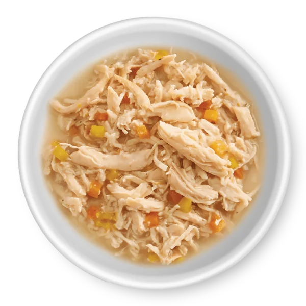 RAWZ_WebsiteCarousel_Dog_BowlImages_Aujou-Pumpkin