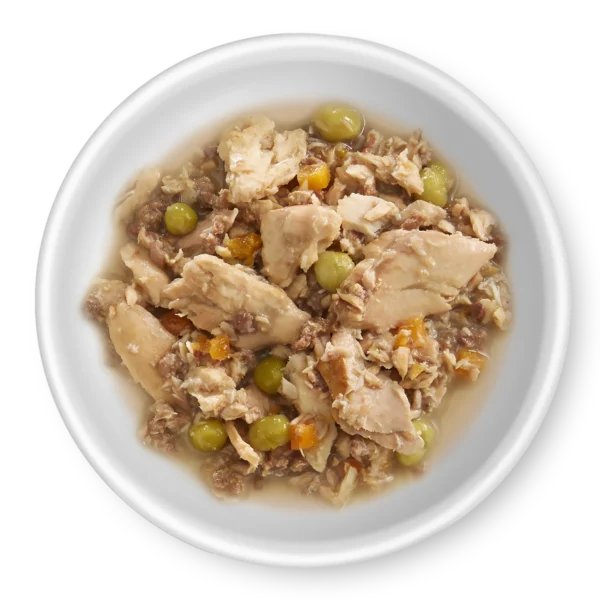 RAWZ_WebsiteCarousel_Dog_BowlImages_Aujou-Salmon