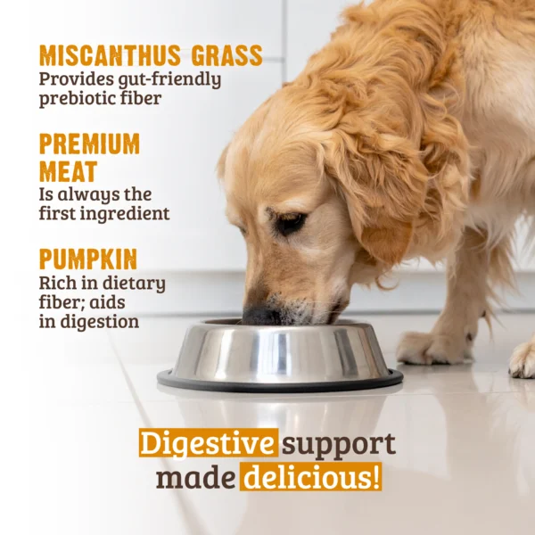 RAWZ_WebsiteCarousel_Dog_Digestive_Turkey&Pumpkin_LIFESTYLE