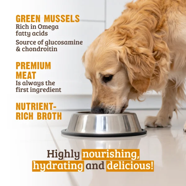 RAWZ_WebsiteCarousel_Dog_Hunks_Chicken&Mussels_LIFESTYLE