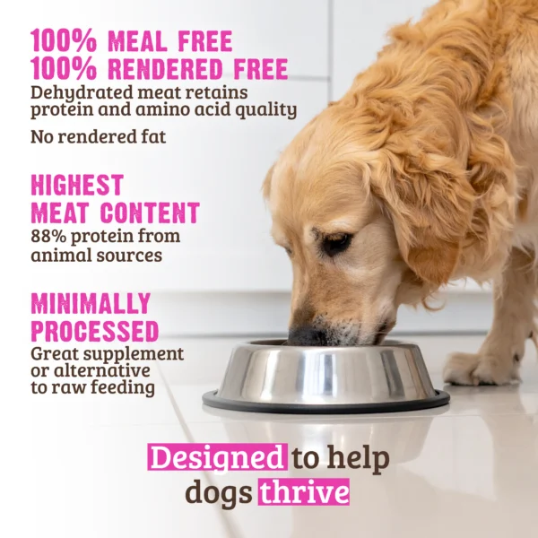 RAWZ_WebsiteCarousel_Dog_Kibble_Chicken&Turkey_LIFESTYLE