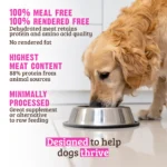 RAWZ_WebsiteCarousel_Dog_Kibble_Salmon&Chicken_LIFESTYLE