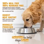 RAWZ_WebsiteCarousel_Dog_Kibble_Salmon&Chicken_LIFESTYLE