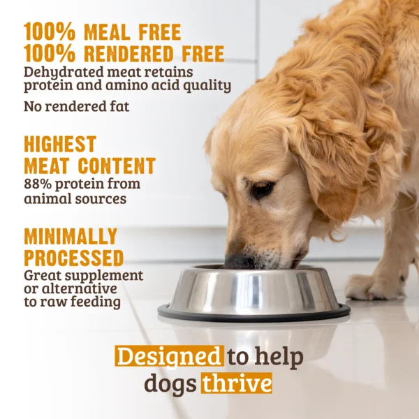 RAWZ_WebsiteCarousel_Dog_Kibble_Salmon&Chicken_LIFESTYLE