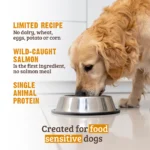 RAWZ_WebsiteCarousel_Dog_LTDKibble_Salmon_LIFESTYLE