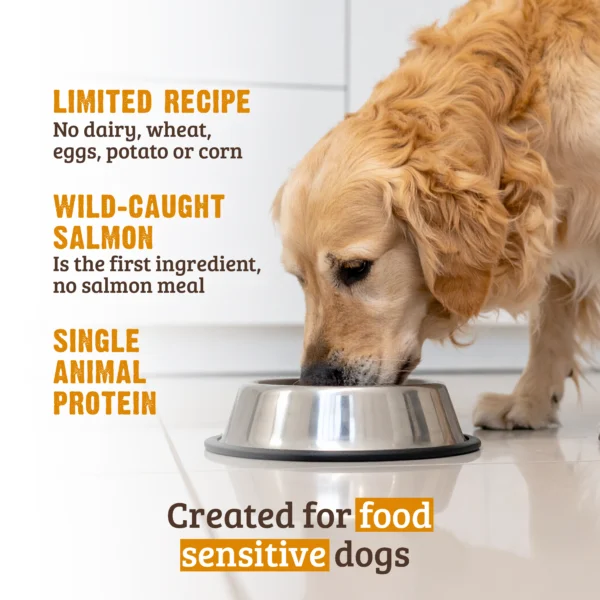 RAWZ_WebsiteCarousel_Dog_LTDKibble_Salmon_LIFESTYLE