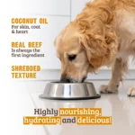 RAWZ_WebsiteCarousel_Dog_Shreds_Beef&Salmon_LIFESTYLE